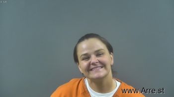 Brandy Michelle Wilson Mugshot