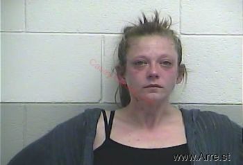 Breanna P Harrison Mugshot