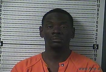 Brian Lee Wilson Mugshot