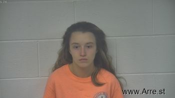 Brianna  Goldsberry Mugshot