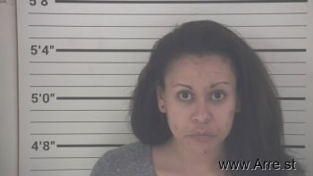 Brianna Carey Pohlgeers Mugshot