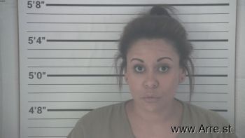 Brianna Carey Pohlgeers Mugshot