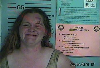 Bridget Renee Villnuve Mugshot