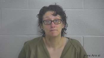 Bridgette L Hodges Mugshot