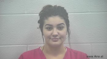 Brie Ann Domers Mugshot