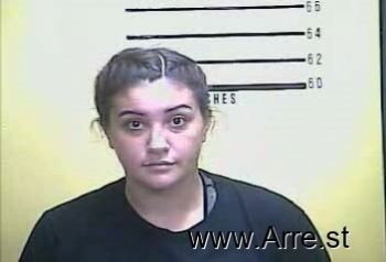 Brie  Domers Mugshot