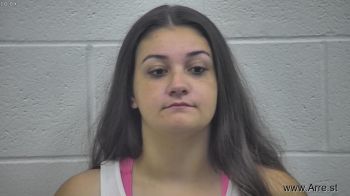 Brie Ann Domers Mugshot