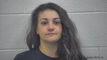 Brie Ann Domers Mugshot