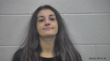 Brie Ann Domers Mugshot