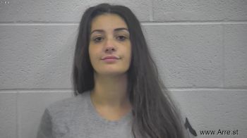 Brie Ann Domers Mugshot