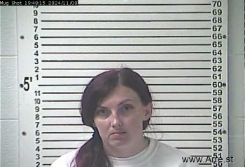 Britany Nicole Williams Mugshot