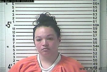 Britney Nicole Allen Mugshot