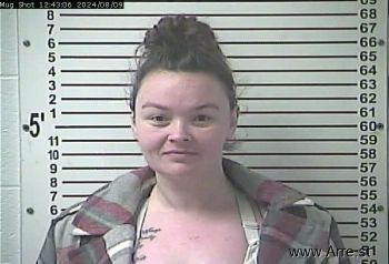 Britney Jo Price Mugshot