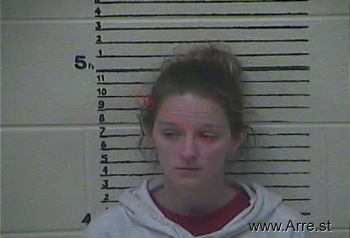 Brittanie  Akers Mugshot