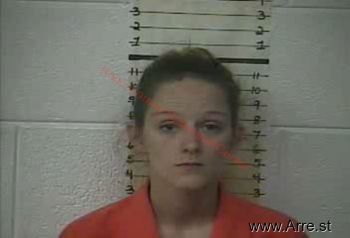 Brittanie I Akers Mugshot