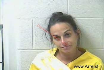 Brittany Ann Brinkley Mugshot