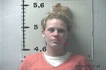 Brittany  Chambers Mugshot