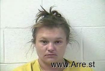 Brittany Lynn Channell Mugshot