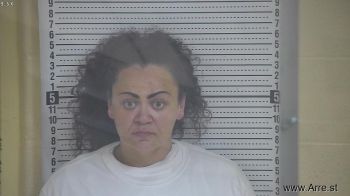 Brittany L Cox Mugshot