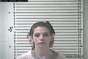 Brittany Ann Davis Mugshot