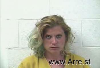 Brittany Ann Downs Mugshot