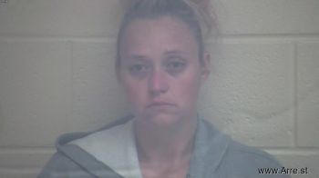 Brittany Michelle Fowler Mugshot