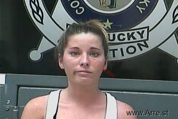 Brittany Nicole Fryer Mugshot