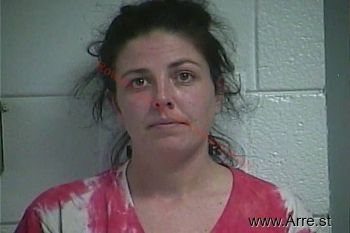 Brittany L Goodman Mugshot