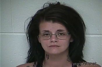 Brittany Lynn Hamilton Mugshot