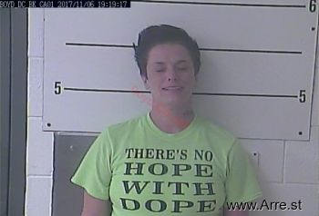 Brittany N Hilgenberg Mugshot