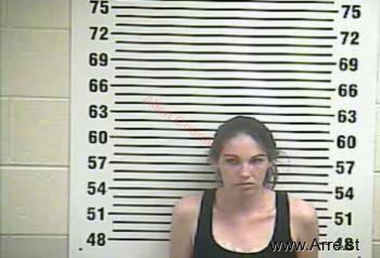 Brittany N Howe Mugshot