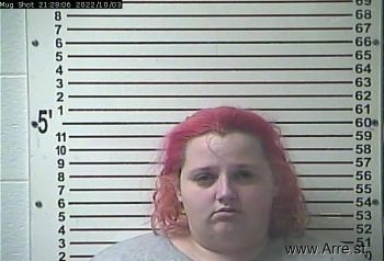 Brittany Diane Jameson Mugshot