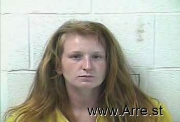 Brittany Marie Johnson Mugshot