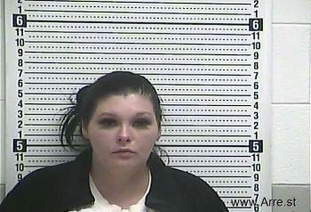 Brittany  Risner Mugshot