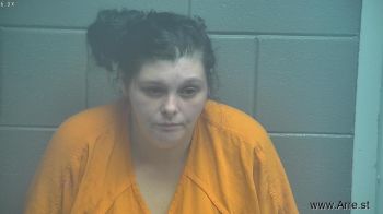 Brittany Rachelle Risner Mugshot