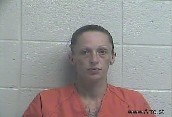 Brittany Suzanne Robinson Mugshot