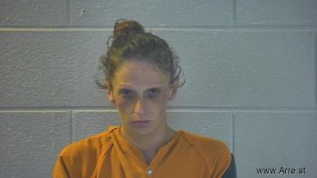 Brittany S Robinson Mugshot