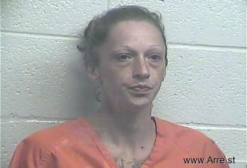 Brittany Suzanne Robinson Mugshot