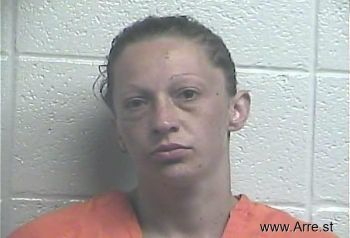 Brittany Suzanne Robinson Mugshot