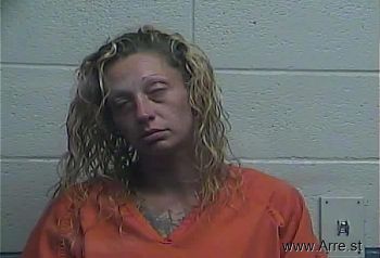 Brittany Suzanne Robinson Mugshot