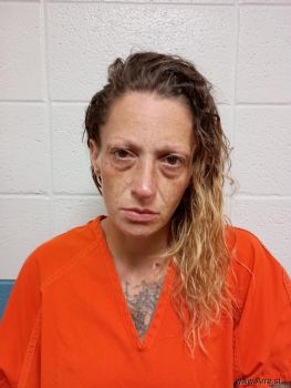 Brittany Suzanne Robinson Mugshot