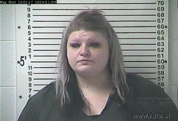 Brittany Ann Rose Mugshot