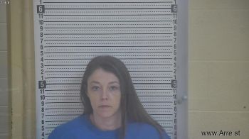 Brittany  Seals Mugshot