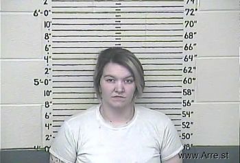 Brittany Lorna Stinson Mugshot