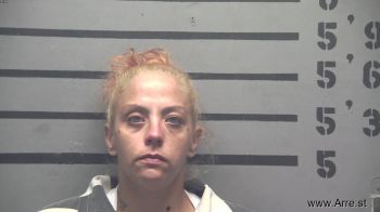 Brittany Nicole Warner Mugshot