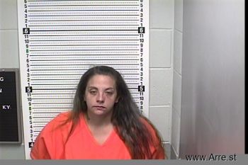 Brittany Nicole Warner Mugshot