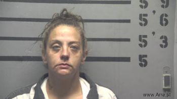 Brittany Nicole Warner Mugshot