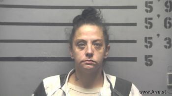 Brittany Nicole Warner Mugshot