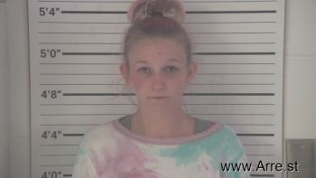 Brittany Nicole Weadbrock Mugshot