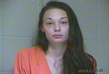 Brittany Fae Wilson Mugshot